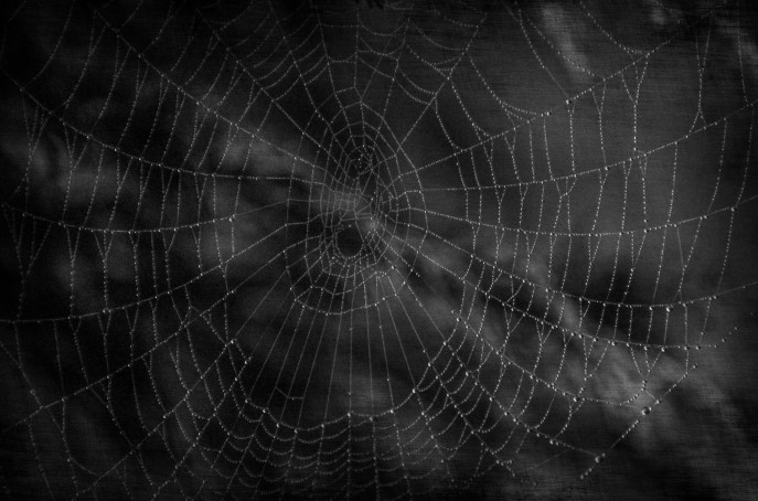 dark-cobweb